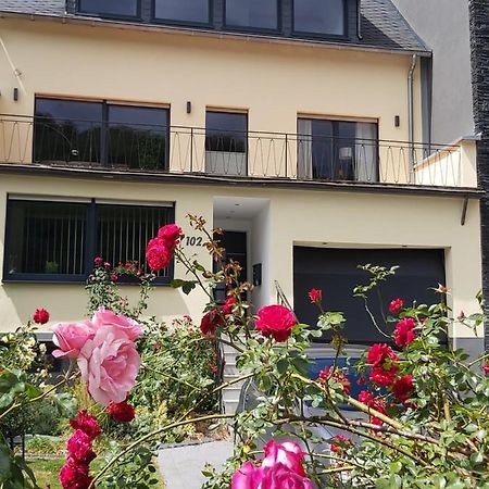 Ferienwohnung "Zum Klosterruinenblick" Kröv Eksteriør billede